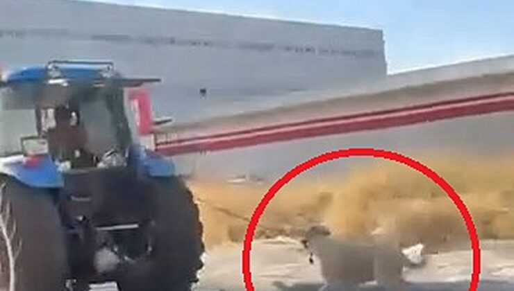 Köpeği traktöre iple bağlayıp koşturdu