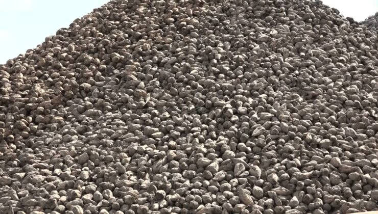 Malatya Şeker Fabrikası’nda 71. pancar alımı 60 bin ton şeker hedefiyle sürüyor
