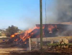 Manavgat’ta anız yangını: 5 ağıl, 4 bin saman balyası ve tarım makineleri kül oldu