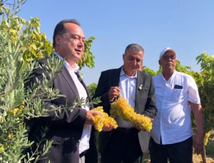Manisa’da Bağ Bozumu Şenliği Coşkusu
