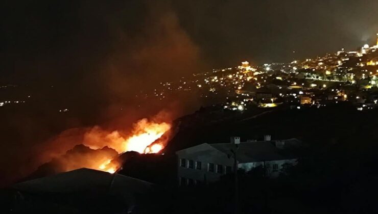 Mardin’de örtü yangını; müdahale sürüyor