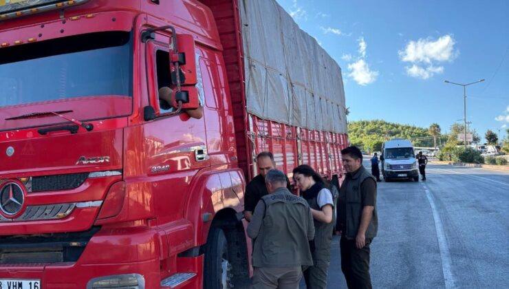 Mersin Silifke’de orman suçlarına karşı yol kontrolü yapıldı