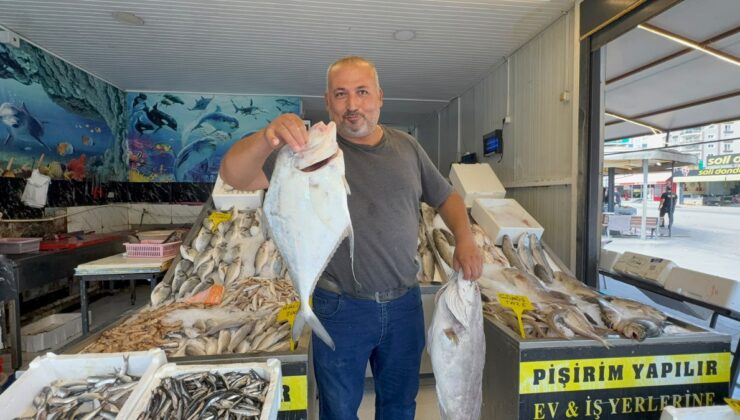Mersin’de tezgahlar doldu, nadir görülen deve balığı 250 TL’den satışa sunuldu