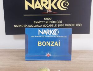 Ordu’da Torbacı Operasyonu: 1 Tutuklama