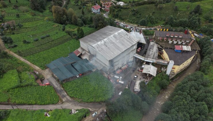 Rize Çayeli’de çay fabrikası deposu yangını kontrol altına alındı, kimse yaralanmadı