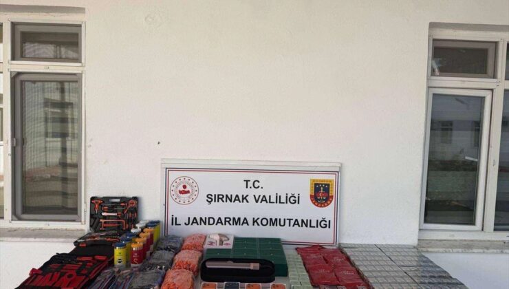 Şırnak’ta kaçakçılık ve asayiş operasyonlarında 196 şüpheli hakkında işlem yapıldı