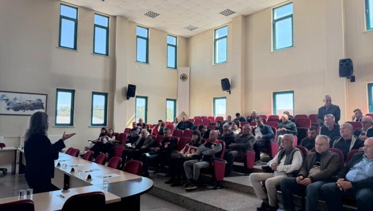 Tekirdağ Malkara’da üreticilere sarı cücelik için 15 Kasım’dan sonra ekim uyarısı yapıldı