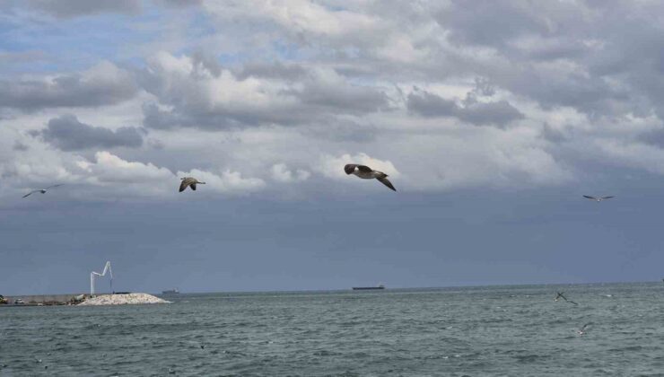Tekirdağ’da balıkçı tekneleri kestane karası fırtınası nedeniyle denize açılamıyor