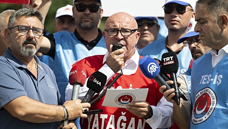 TES-İŞ’ten Milas’taki termik santrallere ilişkin dava öncesi Danıştay önünde açıklama