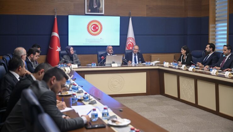AB Uyum Komisyonu Başkanvekilliğine Yeni Parti İzmir Milletvekili Taşkın seçildi