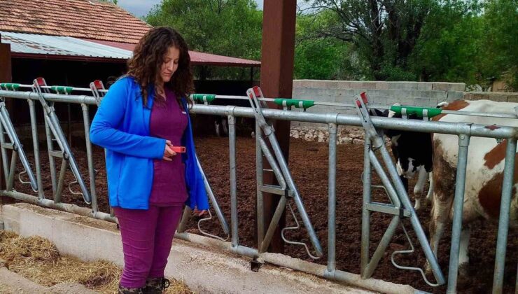 Afyonkarahisar Evciler’de Tarım ve Orman ekipleri işletmelerin kapasitesini inceliyor