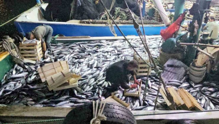 Amasra’dan açılan balıkçılar Cide’de 3 saatte 15 bin palamut avladı