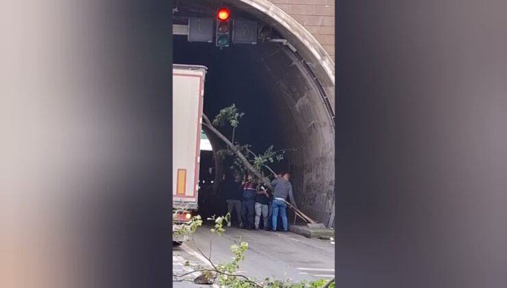 Artvin Hopa’da tünelde heyelan sonrası ağaçlar seyir halindeki araçların üstüne düştü