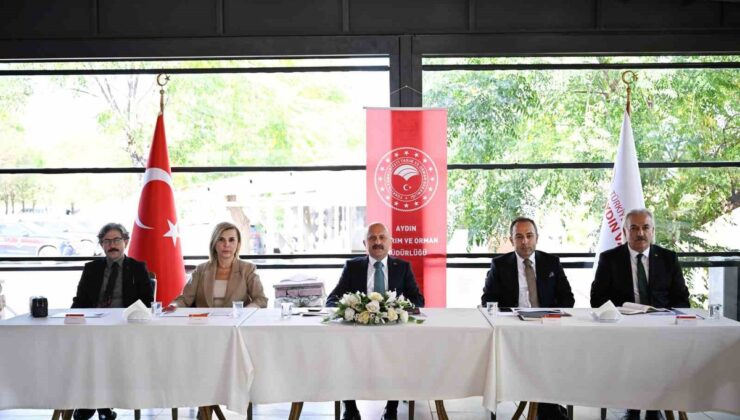 Aydın’ın 77 bin 475 tonluk su ürünleri kapasitesi Vali başkanlığında masaya yatırıldı