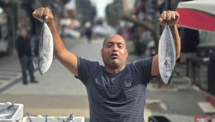 Bandırma’da palamut 100 liradan 75 liraya geriledi, palamuta ilgi arttı