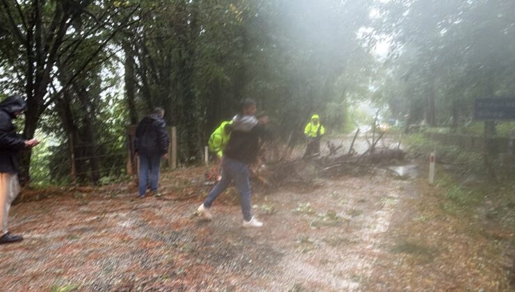 Bartın’da fırtınada devrilen 10’dan fazla ağaç temizlendi, yol tek şeritle açıldı