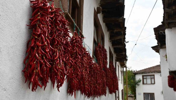 BEBKA, Bursa Eskişehir Bilecik’te 8 yöresel ürün için değer zinciri analizi yaptı