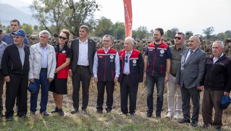 Bolu’da 150 çiftçiye yüzde 50 hibeli ayçiçeği tohumu dağıtıldı, 12 bin dekara ekildi
