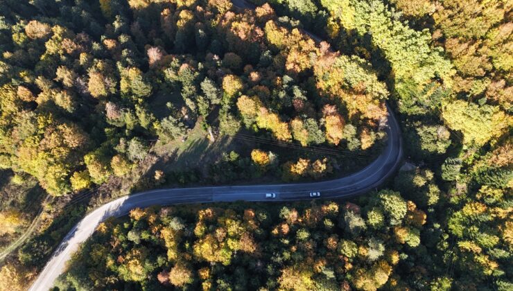 Bolu’da sonbaharla sararan ormanlar Gölcük Tabiat Parkı yolunda dronla görüntülendi