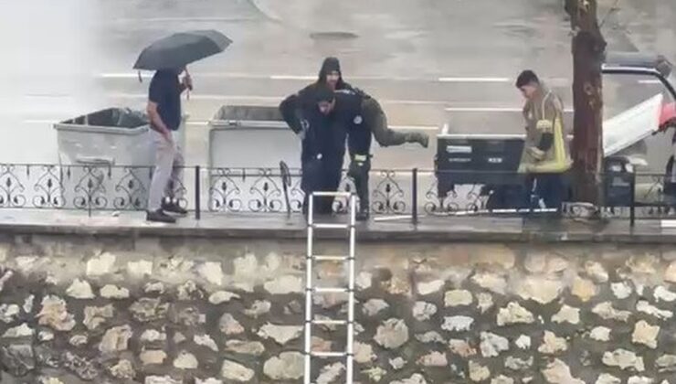 Bursa Gemlik’te sağanakta dereye düşen yavru kediyi itfaiye kurtardı