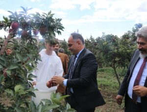 Çankırı’da tarım lisesi öğrencilerinin yetiştirdiği elmaların hasadı başladı