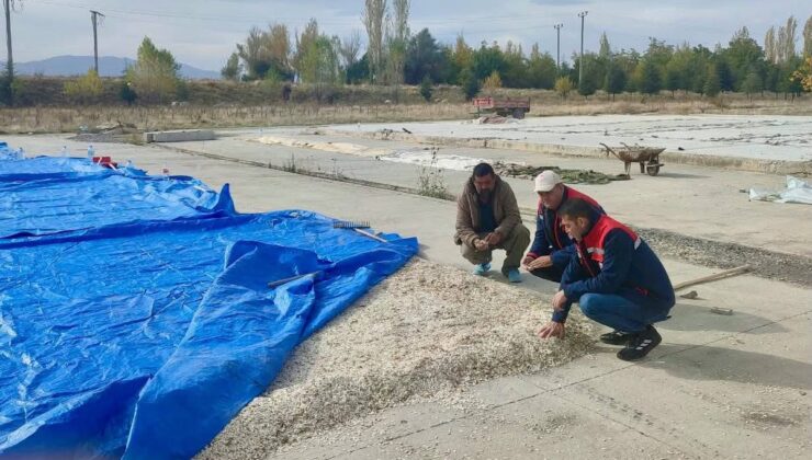 Çay İlçe Tarım ve Orman personeli kabak çekirdeği ve elma üreticilerini ziyaret etti