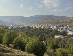 Çermik ve Çüngüş emlakçıları için Tüm Emlak Danışmanlar Birliği başkanlığı kuruldu