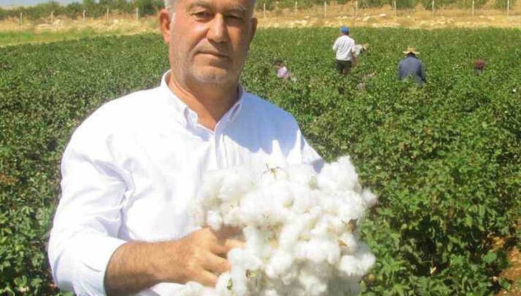 ÇUKOBİRLİK 2026-2027 sezonu St1 kütlü pamuk alım fiyatını 41,50 TL olarak açıkladı