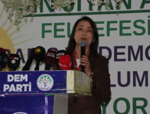 DEM Parti Eş Genel Başkanı Hatimoğulları Van’da çerçeve yasa çağrısı yaptı