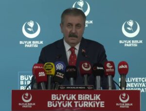 Destici, Doğu Türkistan’ın Çin toprağı olmadığını savunarak işgale uğradığını söyledi