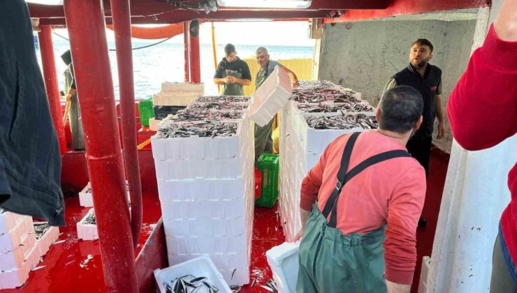 Didim’de hamsi kotası denetiminde balıkçı tekneleri tek tek kontrol edildi