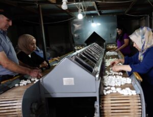 Diyarbakır Kulp’taki ipek fabrikası bin çiftçiye gelir, 35 kişiye istihdam sağlıyor