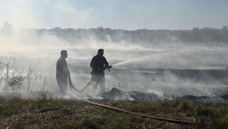Edirne İskenderköy’de anız yangını söndürüldü, yaklaşık 100 dekar arazi zarar gördü