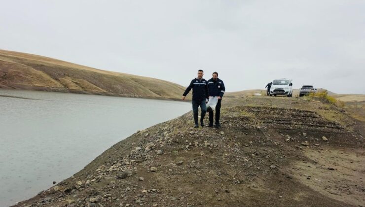 Elazığ’dan getirilen 700 bin sazan yavrusu Van’ın 4 ilçesindeki 8 gölete bırakıldı