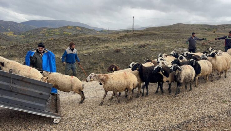 Erzincan’da Şavak aşiretinden üreticiler 4 aylık yayla sezonunu halayla kapattı