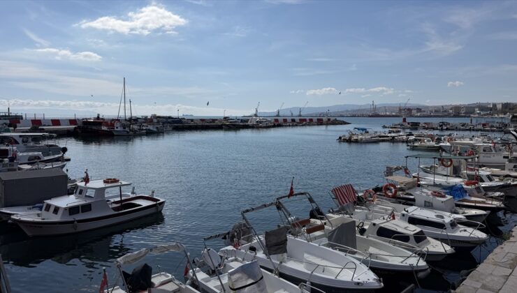 Fırtına sonrası Tekirdağ’da palamut bolluğu tezgahları hareketlendirdi