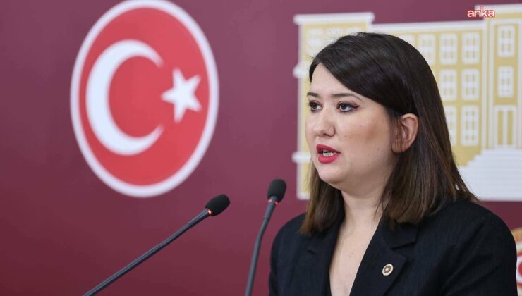 Gökçe Gökçen, Halk TV kayyımını halkın sesini kesme operasyonu olarak niteledi