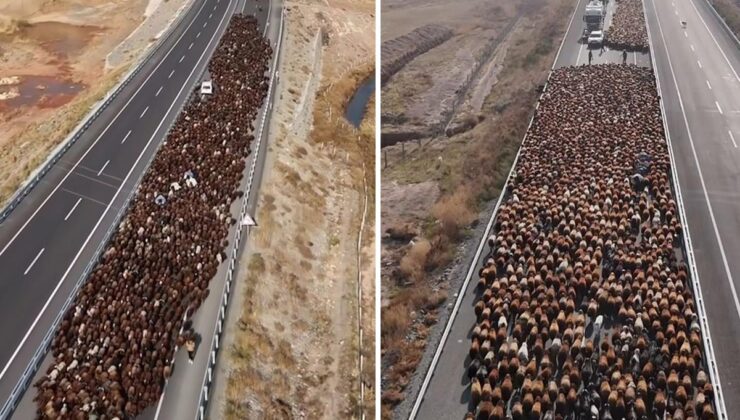 Görüntü Türkiye’den! İki şeritli yolu kapattılar, onlarca araç geçiş için bekledi