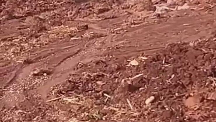 Hatay Reyhanlı’da çamura saplanan eşek, itfaiye ekiplerince sahibine teslim edildi