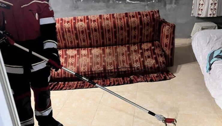 Hatay Samandağ’da yerleşim alanında görülen yılan itfaiyece yakalanıp doğaya salındı