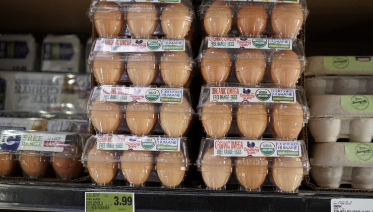 Hong Kong, H5N1 nedeniyle Danimarka ve ABD’den kümes hayvanı ithalatını askıya aldı