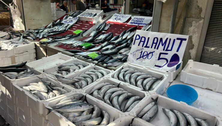 İnebolu’da palamut bolluğu yaşanıyor, tanesi 40 liraya kadar geriledi