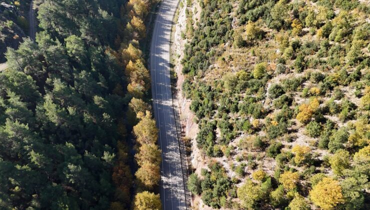 Isparta’nın dört ilçesindeki yaylalar sonbaharla sarı ve kızıl tonlara büründü