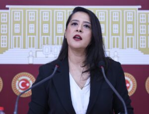 Karaca, Diyarbakır Sur’da 540 dönümden fazla meranın GES’e tahsisini TBMM’ye taşıdı