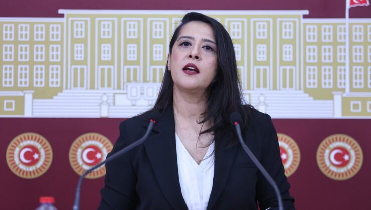 Karaca, Diyarbakır Sur’da 540 dönümden fazla meranın GES’e tahsisini TBMM’ye taşıdı