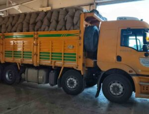 Kastamonu İnebolu’da TMO 200 üreticiden 100 tonu aşkın fındık alıp 22 milyon TL ödedi