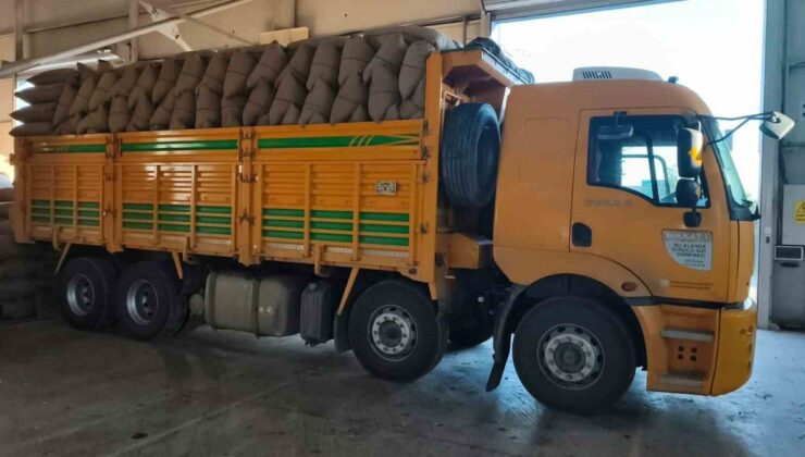 Kastamonu İnebolu’da TMO 200 üreticiden 100 tonu aşkın fındık alıp 22 milyon TL ödedi