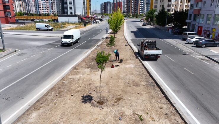 Kayseri Büyükşehir Belediyesi kuruyan ağaçların yerine iklime uygun ağaç dikiyor