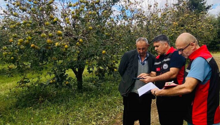 Kozan’da dolu yağışının vurduğu bahçeler için üreticilere başvuru çağrısı yapıldı