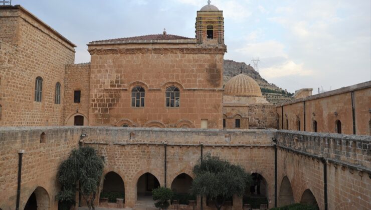 Mardin Deyrulzafaran Manastırı’nda yaklaşık 400 dönüm zeytinde verim arttı